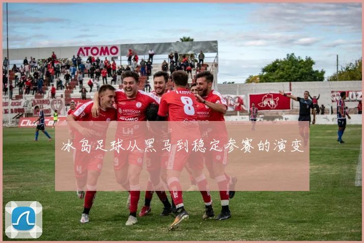 冰岛足球从黑马到稳定参赛的演变