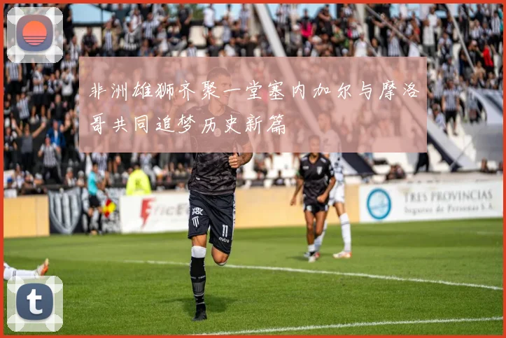 非洲雄狮齐聚一堂塞内加尔与摩洛哥共同追梦历史新篇