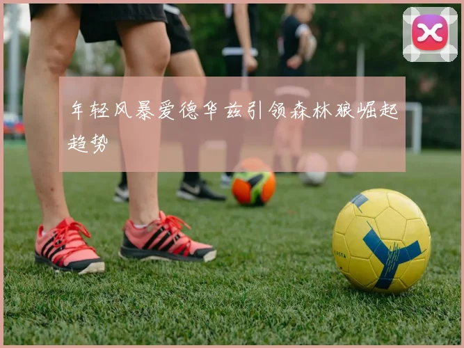年轻风暴爱德华兹引领森林狼崛起趋势