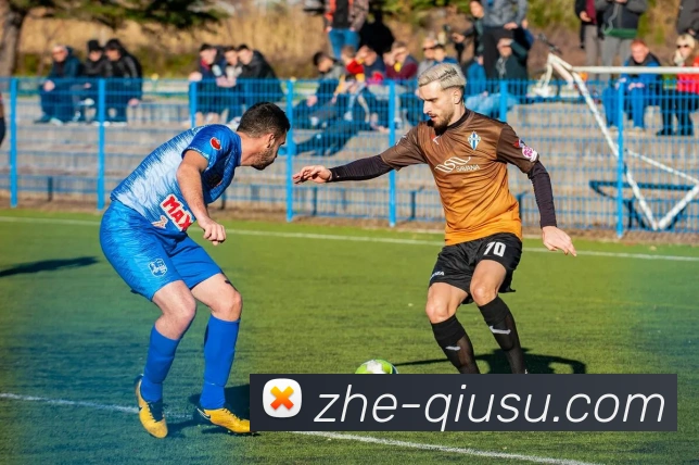 球速平台生态图